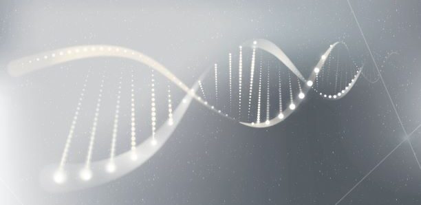 Klotho Neurosciences, Inc. (NASDAQ: KLTO)