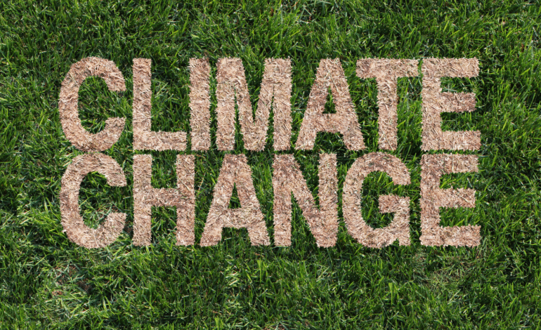 AI in Climate Change Modeling: Improving Forecast Accuracy for Policy Decisions