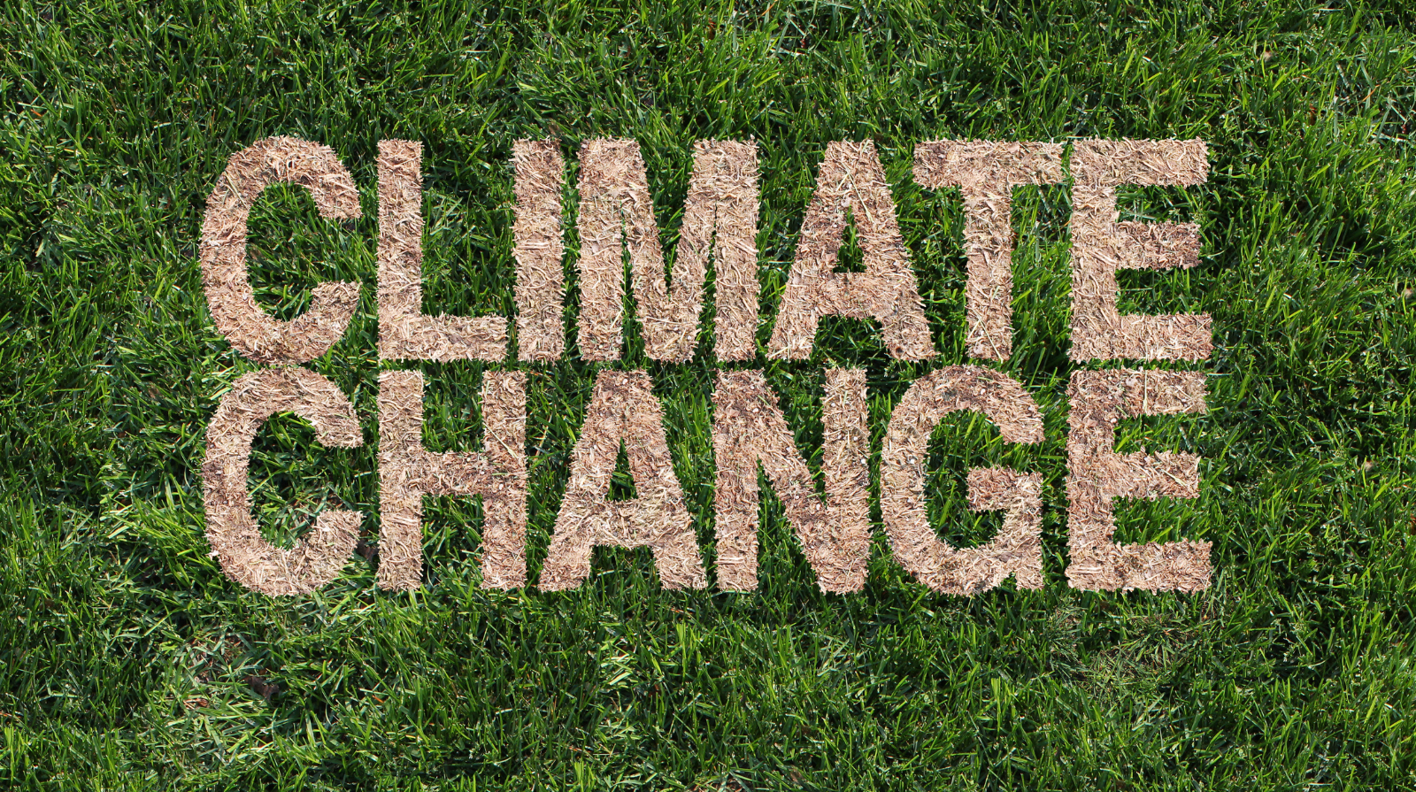 AI in Climate Change Modeling: Improving Forecast Accuracy for Policy Decisions