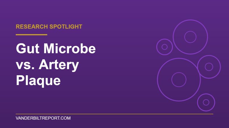 Royal purple graphic with the headline "Gut Microbe vs. Artery Plaque" and abstract cell outlines, for a Vanderbilt Report research spotlight on a Nature study
