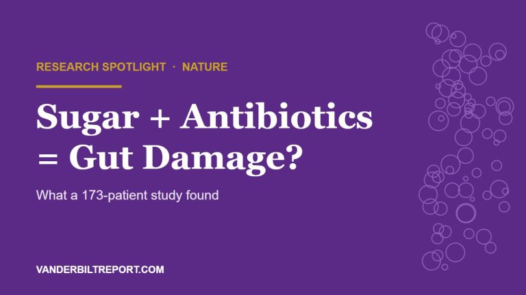 Royal purple graphic with white headline "Sugar + Antibiotics = Gut Damage?" and a gold rule, illustrating a Nature study on sugar intake during antibiotic treatment